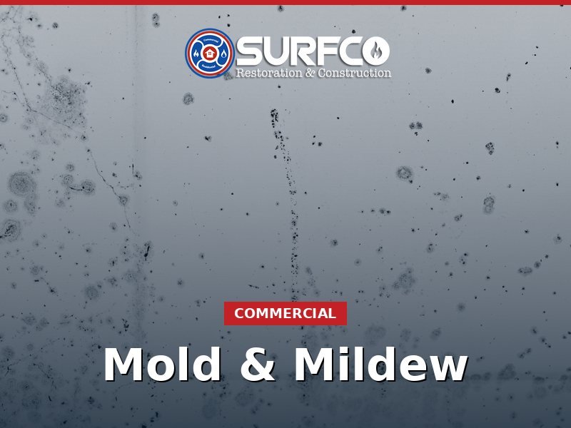 Mold & Mildew in Northwest Arkansas by Surfco