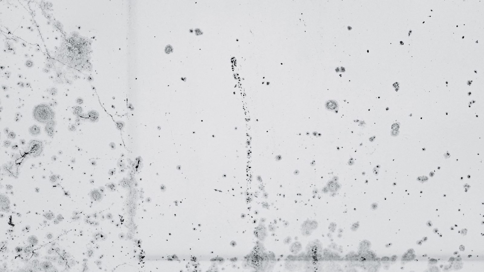 Negative air containment set up for commercial mold remediation in an office building